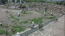 長鳴きの効果